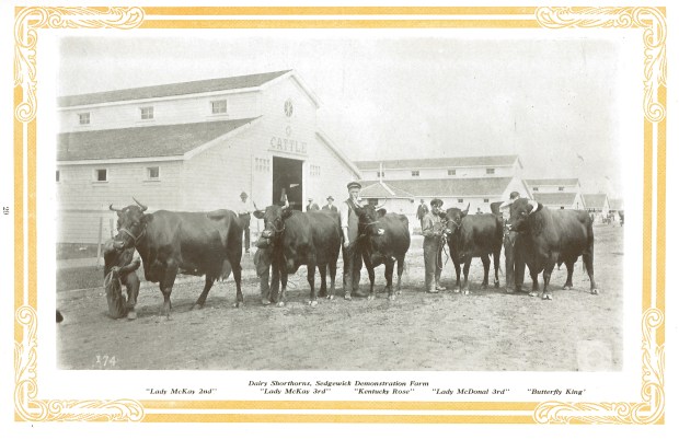 Demonstration Farm 12