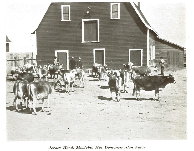 Demonstration Farm Barn 1