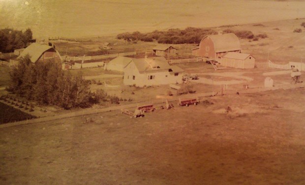 Kroetsch Farmyard 1976