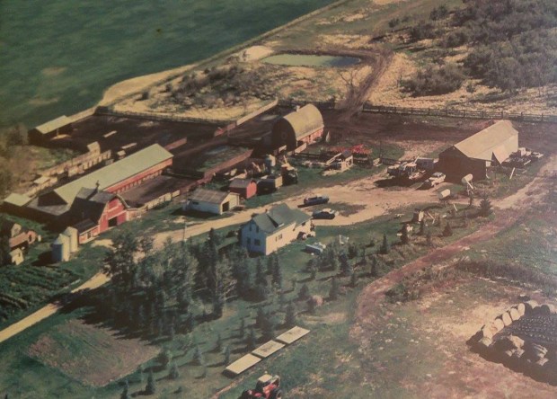 Kroetsch Farmyard 1988