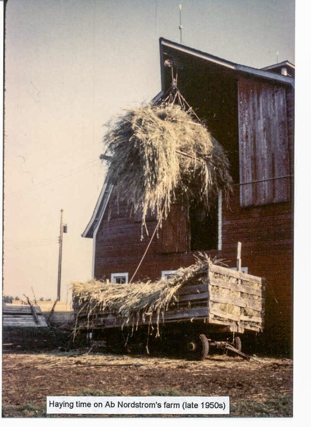 nordstrom barn_1956_haying time