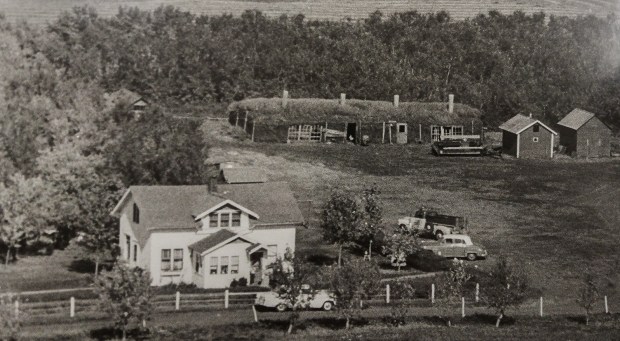 Badry Homestead 1956