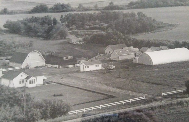 Moser Homestead 1954